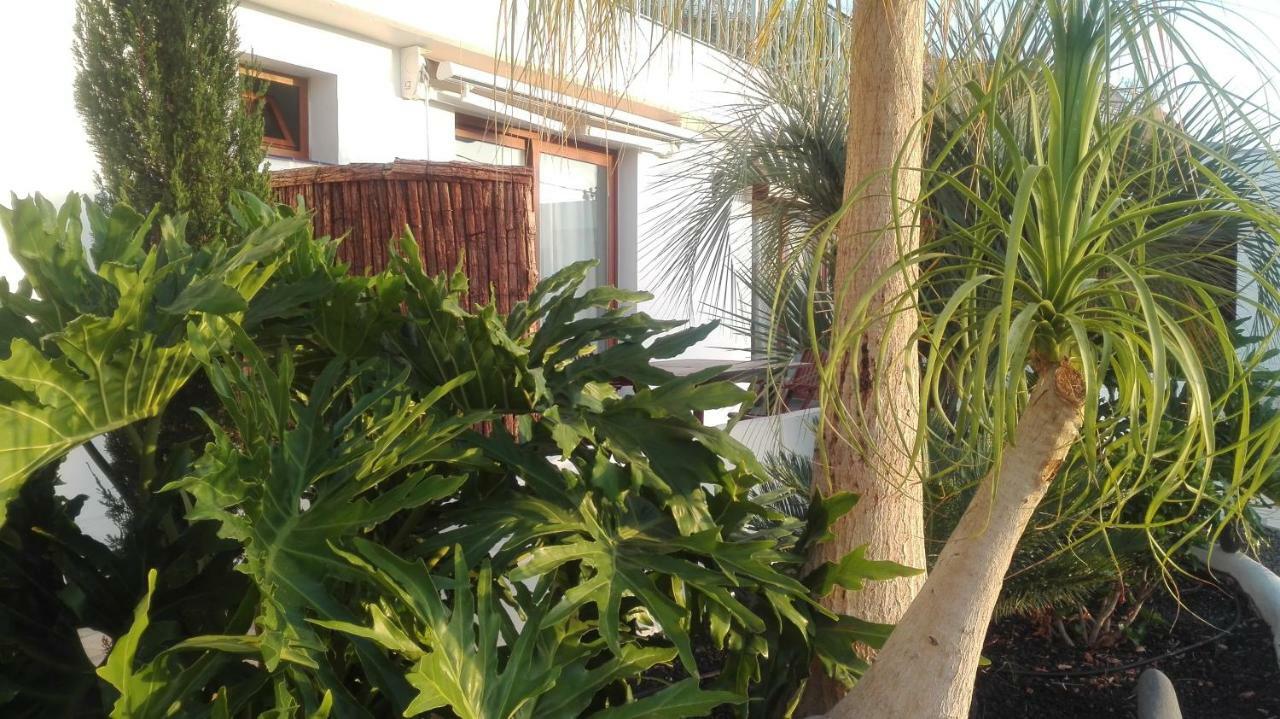 Villa La Perla Candelaria Eksteriør bilde